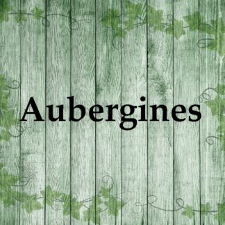 Aubergine