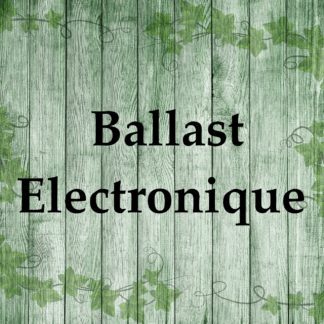 Ballast Électronique