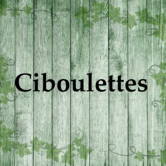 Ciboulettes