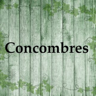 Concombres