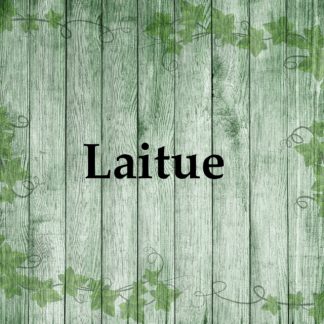 Laitue