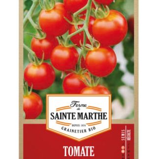 Sainte marthe tomate Miel du Mexique