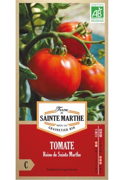 Sainte marthe tomate Reine de Sainte Marthe
