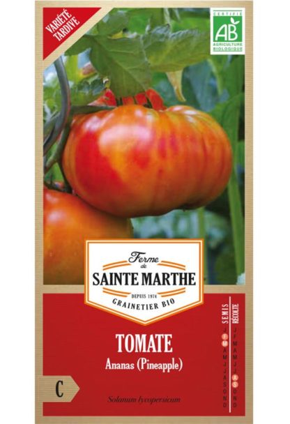 Sainte marthe tomate-ananas