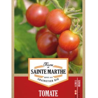 Sainte marthe tomate black cherry