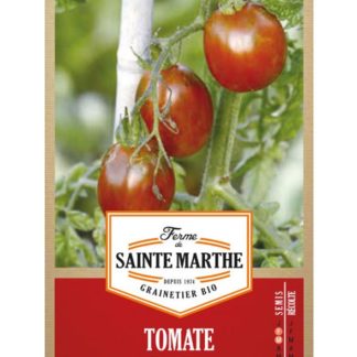 Sainte marthe tomate prune noir