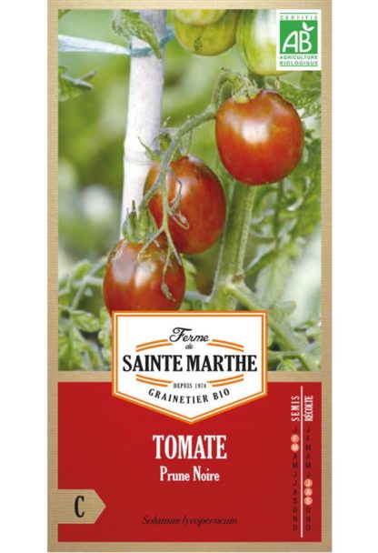 Sainte marthe tomate prune noir