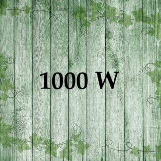 1000 w