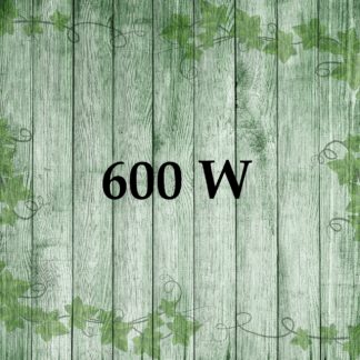 600 w