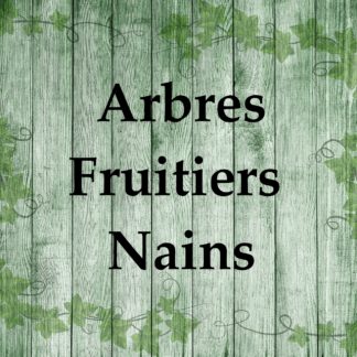 Arbres fruitiers nains