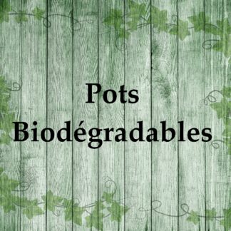 Pots biodégradable