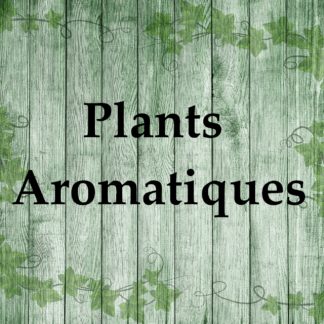 Plants Aromatiques