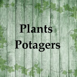 Plants Potagers
