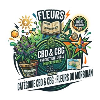 CBD Shop Vannes
